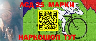кокс Можга
