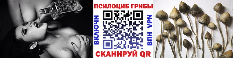 наркота  площадка формула  Галлюциногенные грибы Psilocybine cubensis  Богданович 