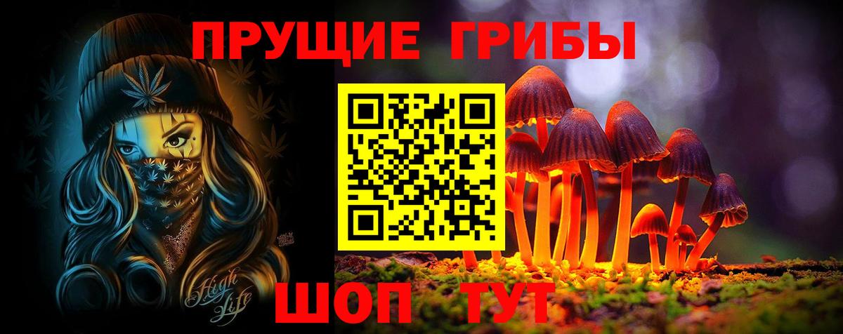 Галлюциногенные грибы ЛСД  Псилоцибиновые грибы Cubensis  где купить наркоту  Богданович  Вход с VPN 